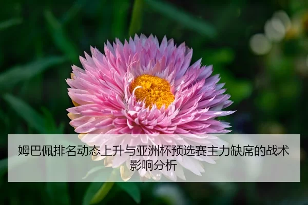 mu-ba-pei-pai-ming-dong-tai-shang-sheng-yu-ya-zhou-bei-yu-xuan-sai-zhu-li-que-xi-de-zhan-shu-ying-xiang-fen-xi-2-152.jpg