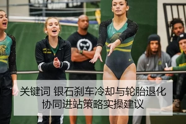 关键词 银石刹车冷却与轮胎退化协同进站策略实操建议