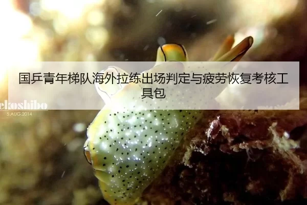 国乒青年梯队海外拉练出场判定与疲劳恢复考核工具包