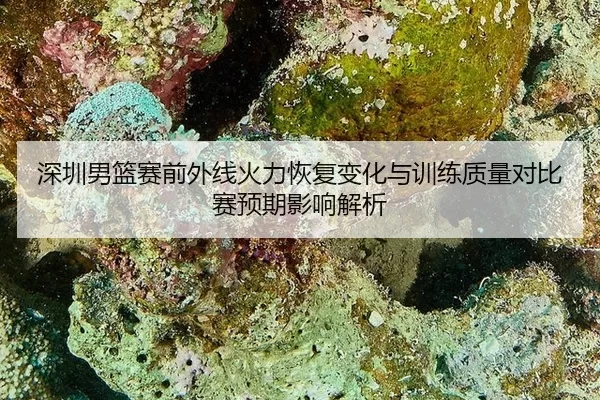 深圳男篮赛前外线火力恢复变化与训练质量对比赛预期影响解析